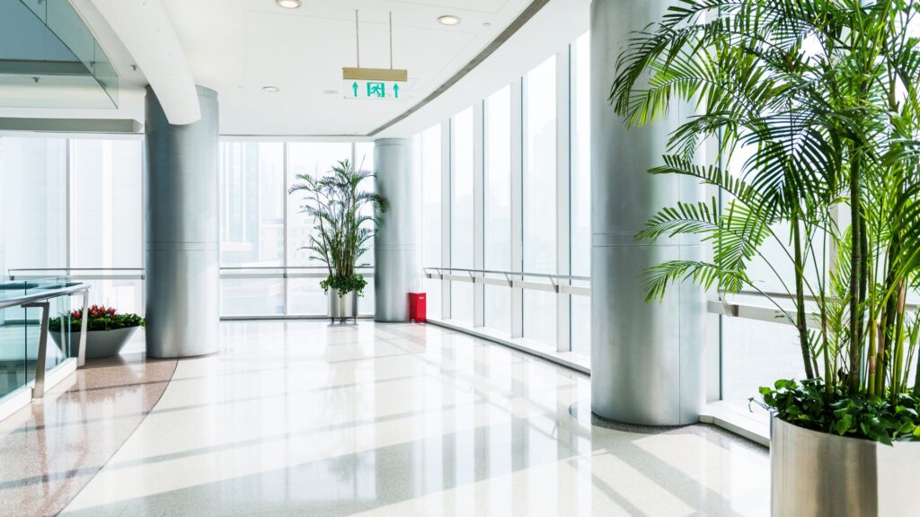 Office Wear for Tropical Cities