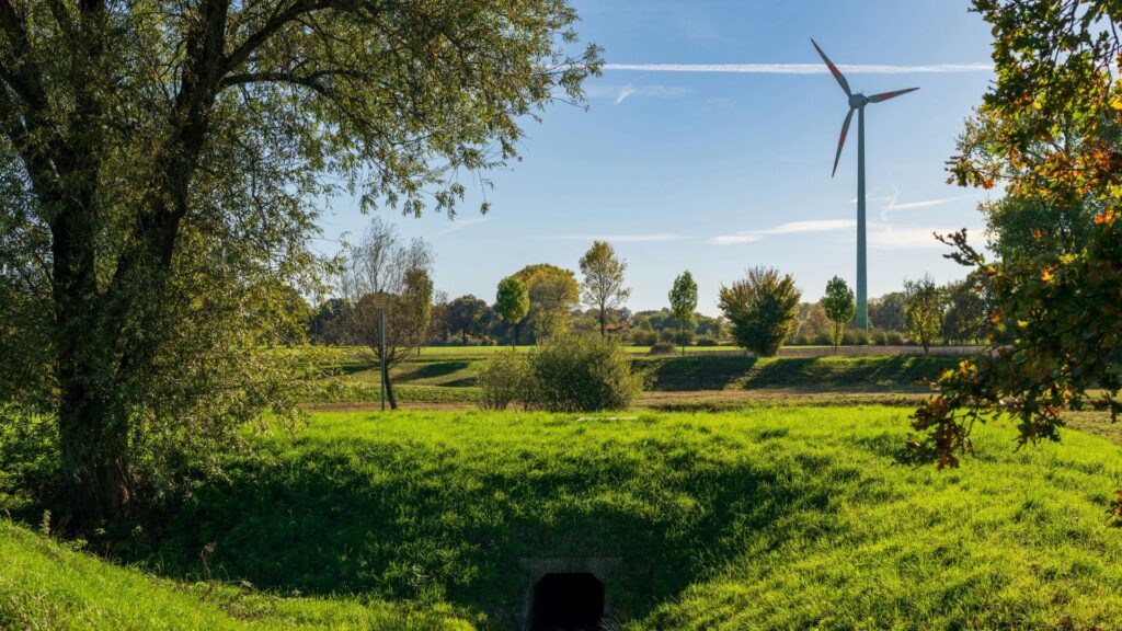 Green Is the New Growth: How ESG, Sustainability, and Renewable Energy Are Reshaping Brand Strategy for B2B and D2C Businesses